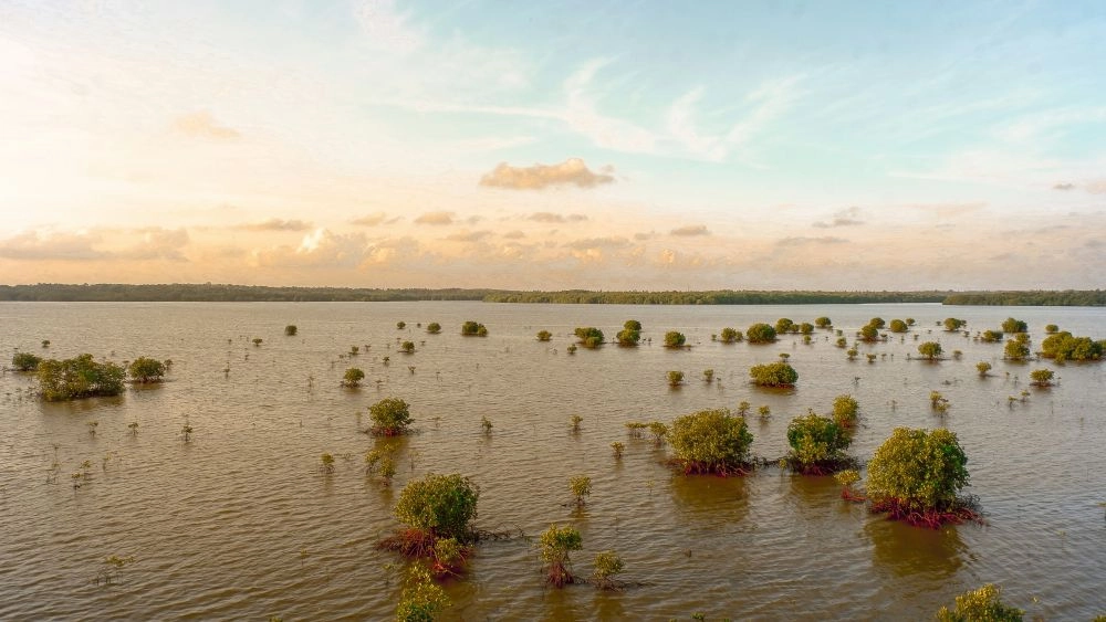 Assurance habitation et inondations en 2025 : pourquoi les sinistres explosent et comment bien se protéger ?