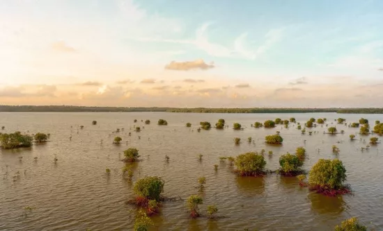 Inondations : pourquoi les sinistres explosent en 2025 et comment bien se protéger ?
